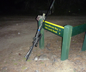 Kawau Island